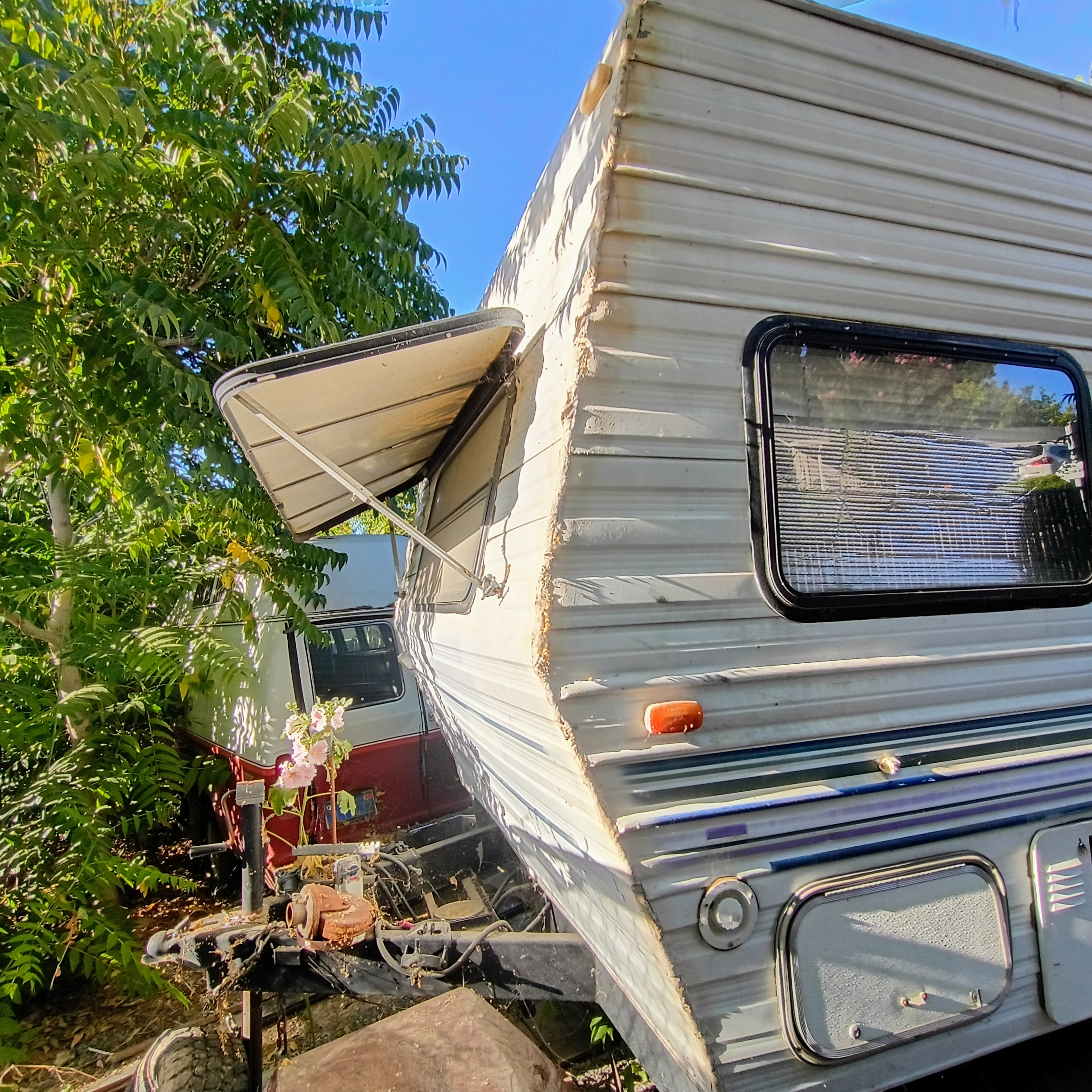 Auction Image 4
